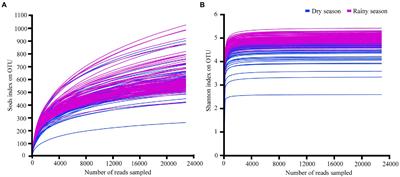 Seasonal variations in the gut microbiota of white-headed black langur (Trachypithecus leucocephalus) in a limestone forest in Southwest Guangxi, China